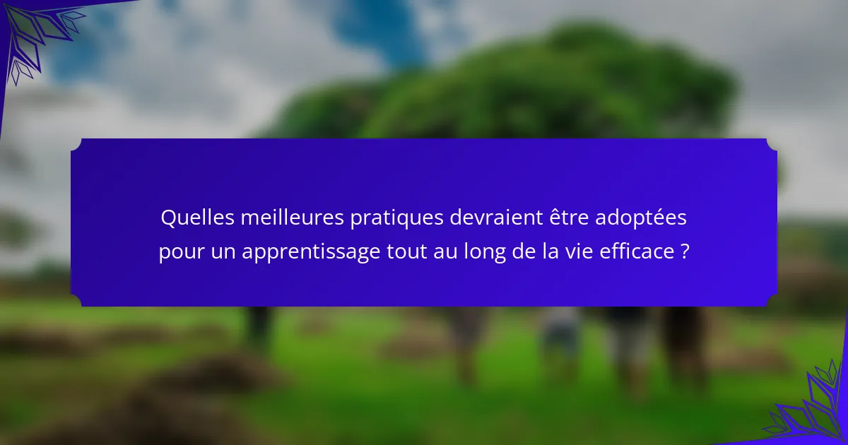 Quelles meilleures pratiques devraient être adoptées pour un apprentissage tout au long de la vie efficace ?
