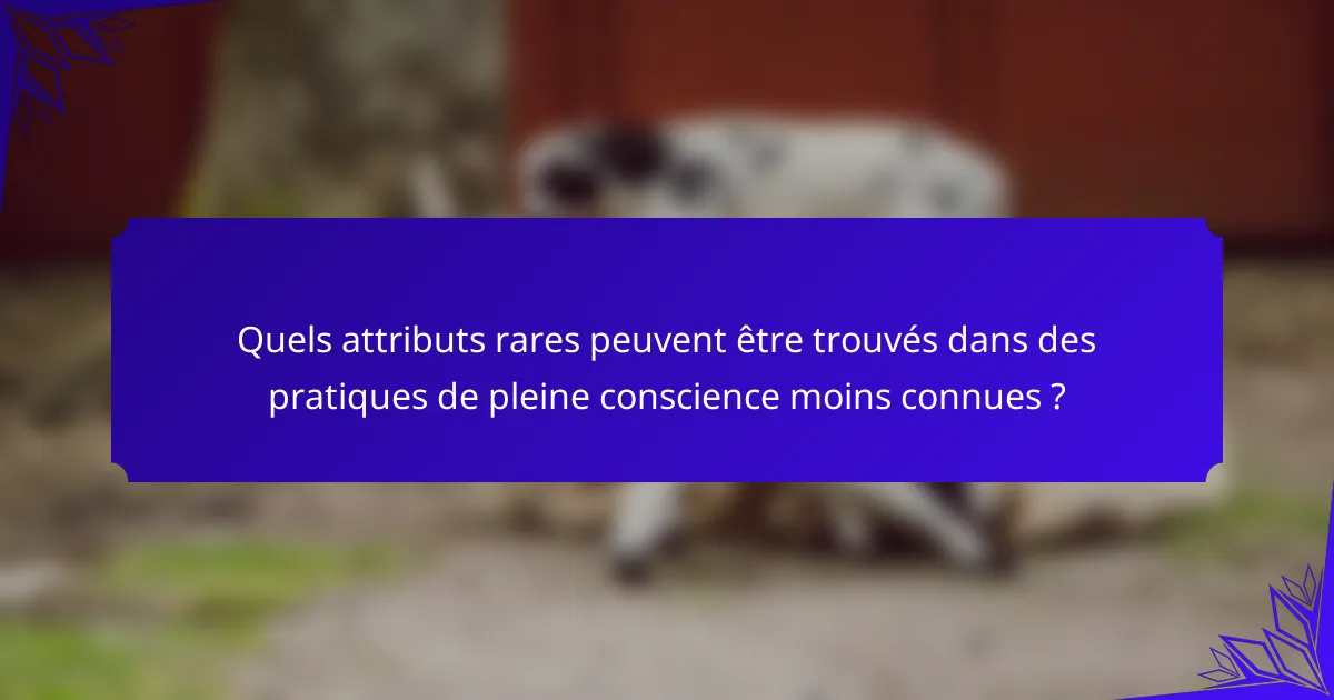 Quels attributs rares peuvent être trouvés dans des pratiques de pleine conscience moins connues ?